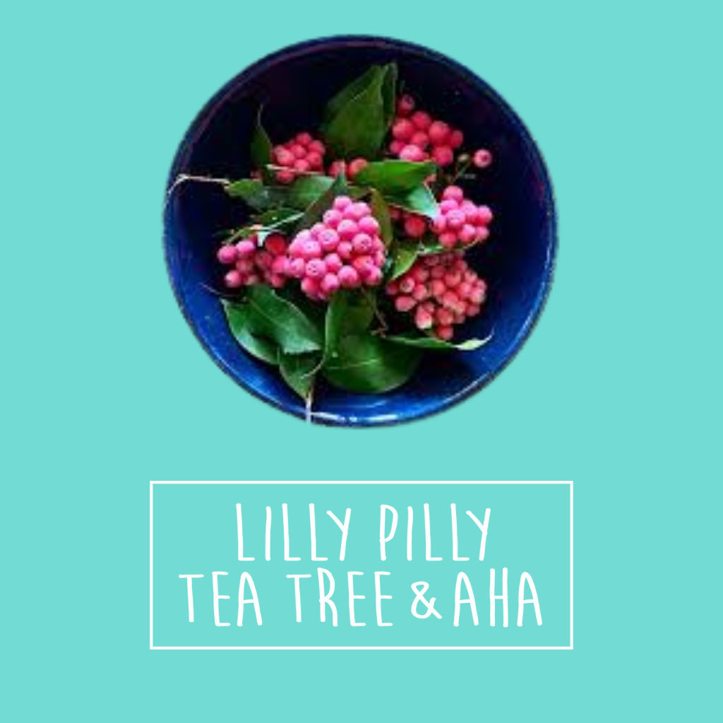A dark blue bowl filled with bright pink lilly pilly berries and green leaves is shown against a teal background.